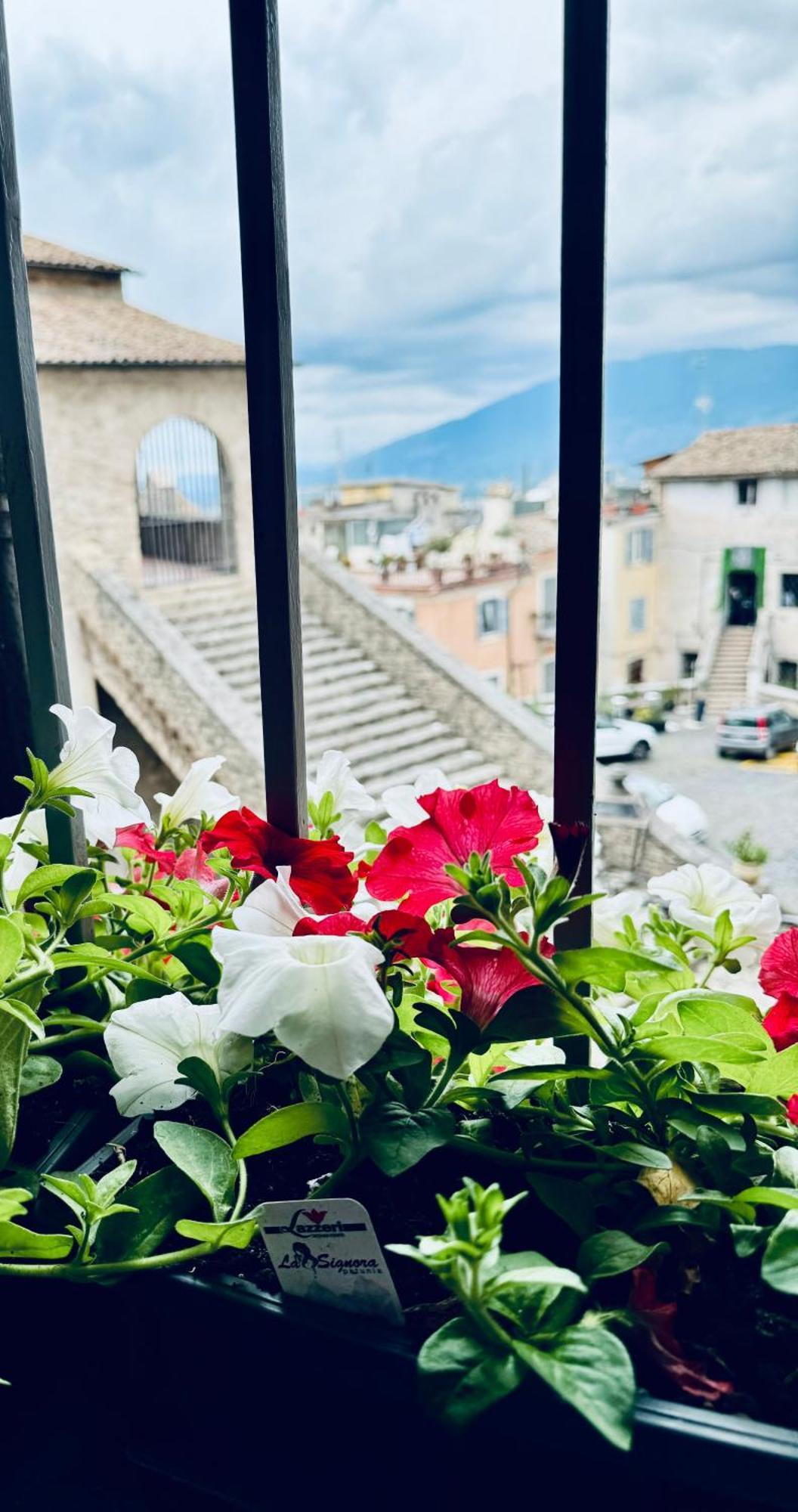 Casa Citta Dei Papi