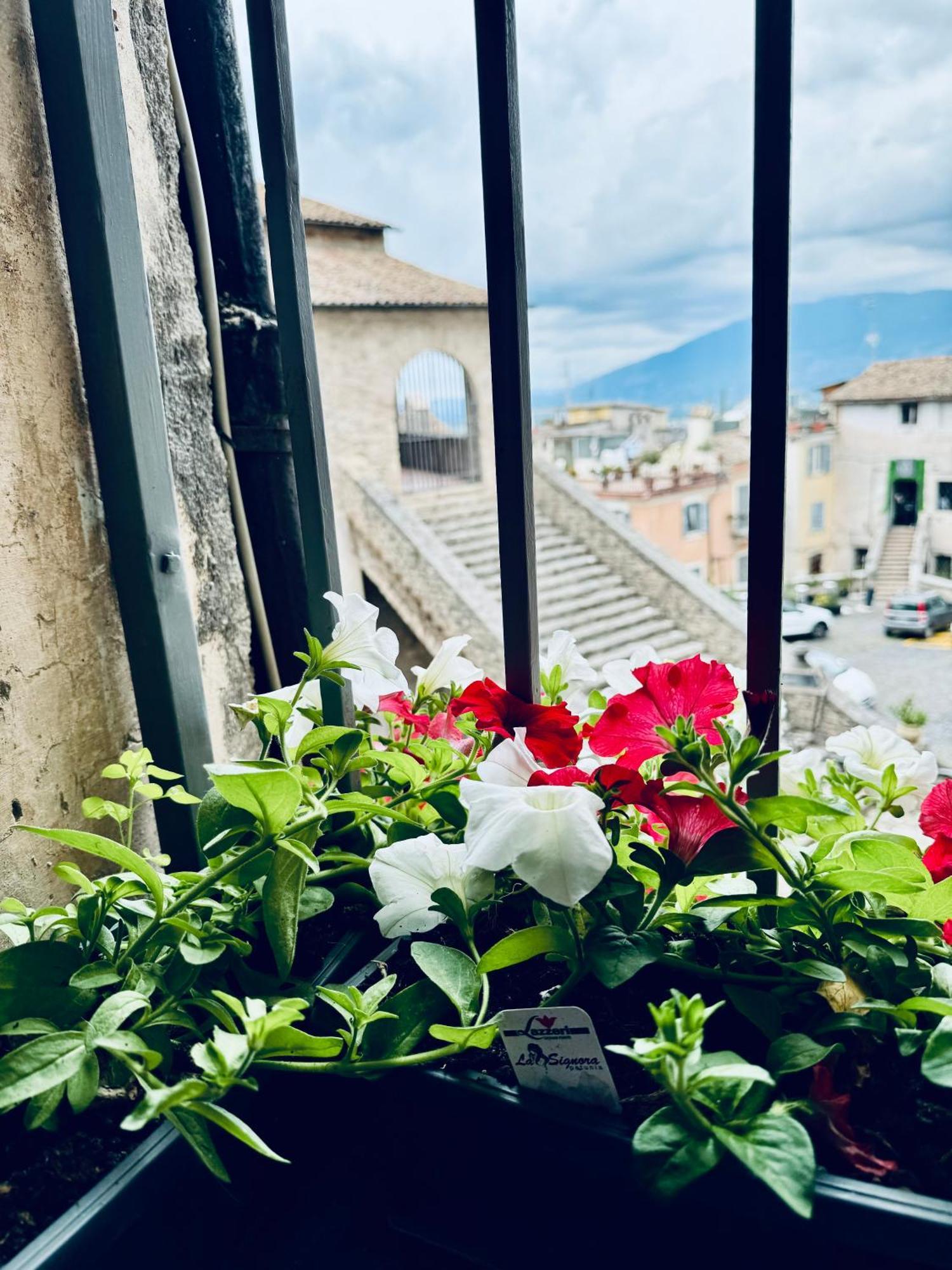 Casa Citta Dei Papi * Anagni