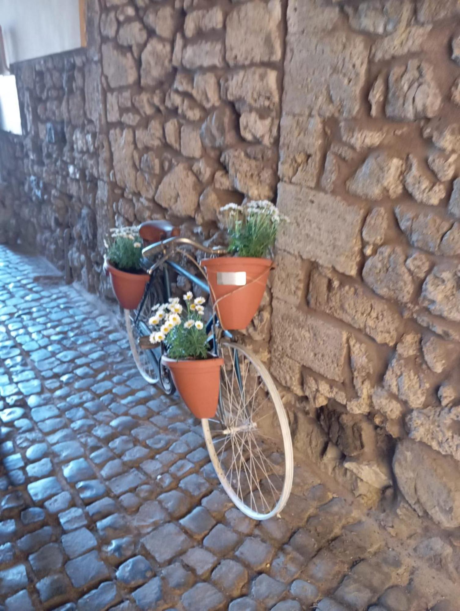 Casa Citta Dei Papi Vakantiehuis